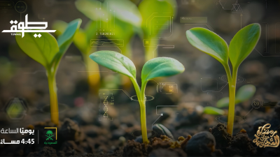 من بقيق إلى العالمية ." نت زيرو"  تقنص ذهبية الـ G20  "بأشجارها الذكية".